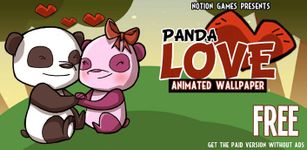 Gambar Panda Love Live Wallpaper 