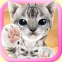 Ícone do apk 3D Cute Cat Live Wallpaper