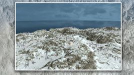 Island Survival - Winter Story Bild 5