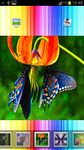 Imagem 5 do 3D Butterfly Wallpapers
