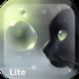 Curious Cat Lite apk icon