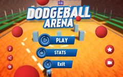 Dodgeball Arena image 6