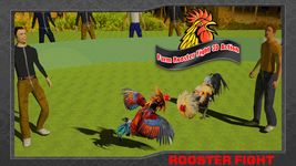 Farm Deadly Rooster Fighting ảnh màn hình apk 13