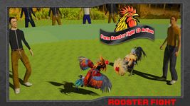 Farm Deadly Rooster Fighting ảnh màn hình apk 1