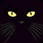 Icône apk chat noir live wallpaper