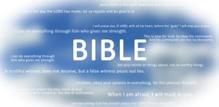 Holy Bible (NIV) Bild 