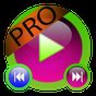 Secret Video Recorder Pro apk icon
