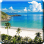 Beach live wallpapers APK