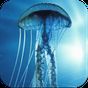 3D Jellyfish HD Live Wallpaper APK Simgesi