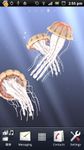 3D Jellyfish HD Live Wallpaper image 3