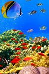 Captura de tela do apk 3D Aquarium Live Wallpaper 1