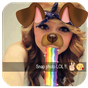 Funny Face For Social Apps APK