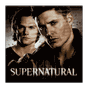 Ícone do apk Supernatural Official App