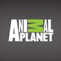 Ícone do apk Animal Planet