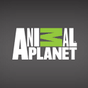 Animal Planet APK