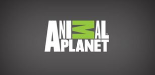 Imagem  do Animal Planet