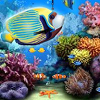 Ícone do apk Ocean Aquarium Live Wallpaper