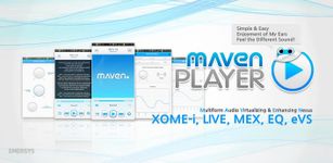 MAVEN Music Player (Pro) image 2