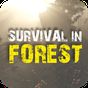 Survival in Forest APK
