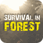 Survival in Forest apk icono