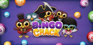 Bingo Crack ảnh số 