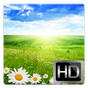 Magic Weather 3D apk icono