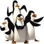 Die Pinguine aus Madagascar APK