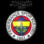 Digital Clock Fenerbahçe APK