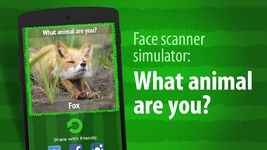 Visage Scanner : Quels animaux image 