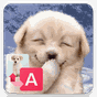 Icône apk Traducteur pour chiens