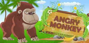 Angry Monkey imgesi 