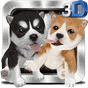 Naughty Dog 3D APK