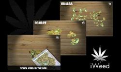 iWeed - liar un porro captura de pantalla apk 5