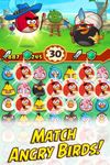 Картинка 14 Angry Birds Fight! RPG Puzzle