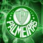 Palmeiras News APK