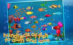 Gambar Tap Fish 5