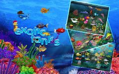 Картинка  Tap Fish