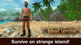 Картинка  Lost Island Survival Simulator