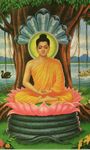 Imagem 1 do Wallpapers de Buda