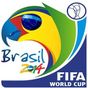Ícone do 2014 FIFA World Cup Theme