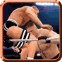 APK-иконка Wrestling Amazing Puncher