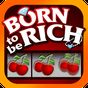Born Rich Slots - Slot Machine APK Simgesi