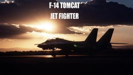 Imagem  do F14 Tomcat Jet Simulator