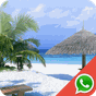 Beach Wallpapers for Chat
