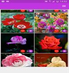 flowers images Gif animated imgesi 2