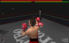 Killer Street Boxing image 3