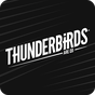 Ikona apk Thunderbirds Are Go: Team Rush