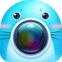 APK-иконка Seals camera:Beauty yourself