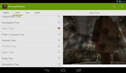 Details for Minecraft obrazek 4