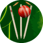 Worldcric Cricket Live APK